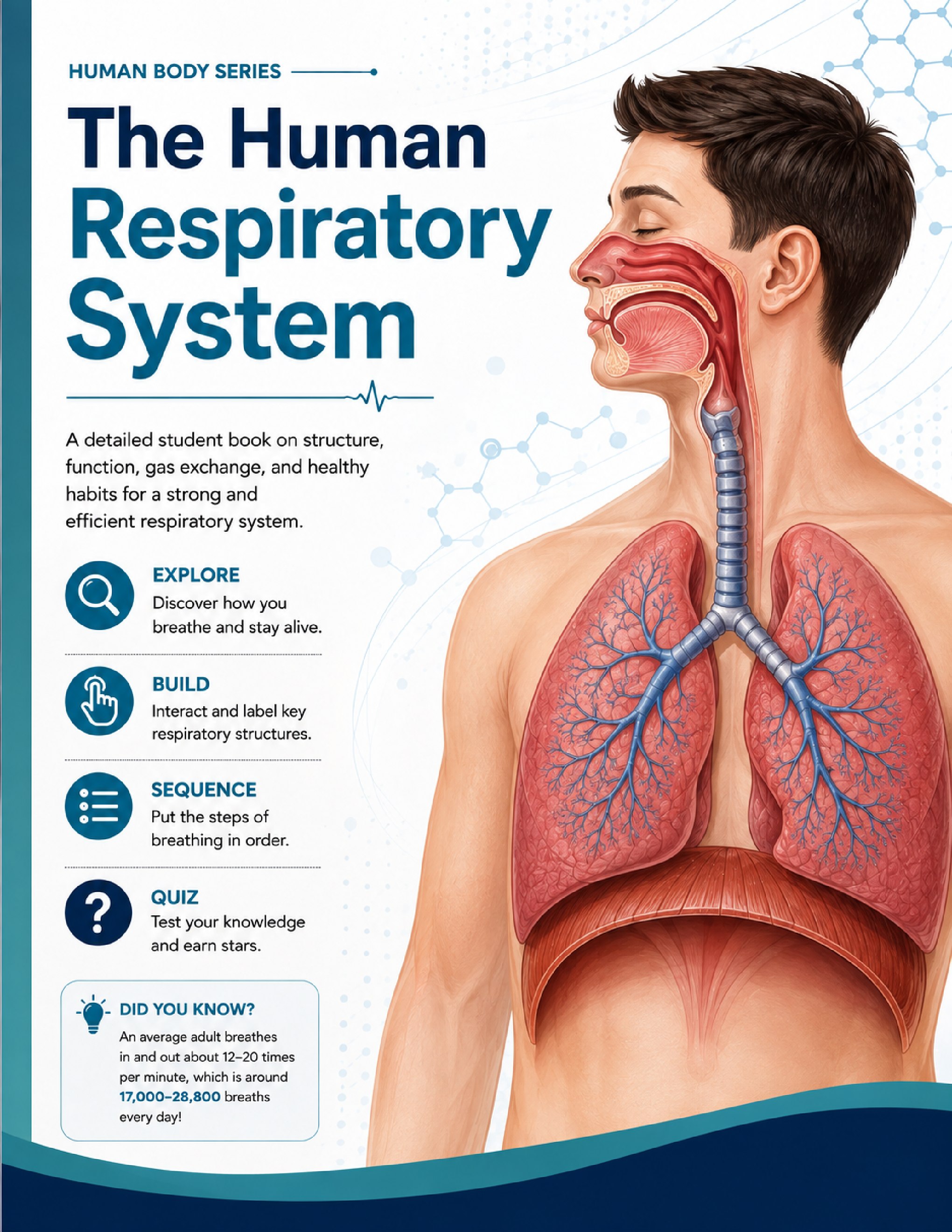 Human Respiratory System cover